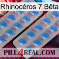Rhinocéros 7 Bêta 23